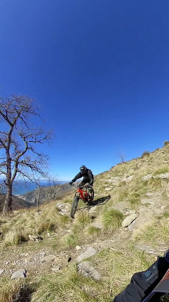 WhatsApp Image 2021-03-14 at 17.37.05.jpeg